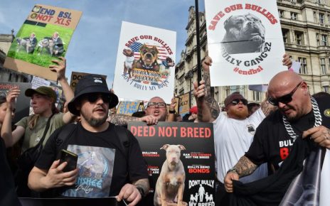 231228123040-restricted-american-xl-bully-dog-protest-london-10-07-2023-sRAvoS.jpg